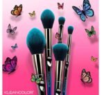 KLEANCOLOR DAILY ESSENTIALS-5 PIECE FACE & EYE BRUSH SET - Imagen 2