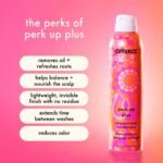 Amika perk up/ plus shampoo en seco - Imagen 10