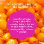 Amika perk up/ plus shampoo en seco - Imagen 5