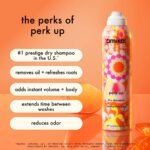 Amika perk up/ plus shampoo en seco - Imagen 2